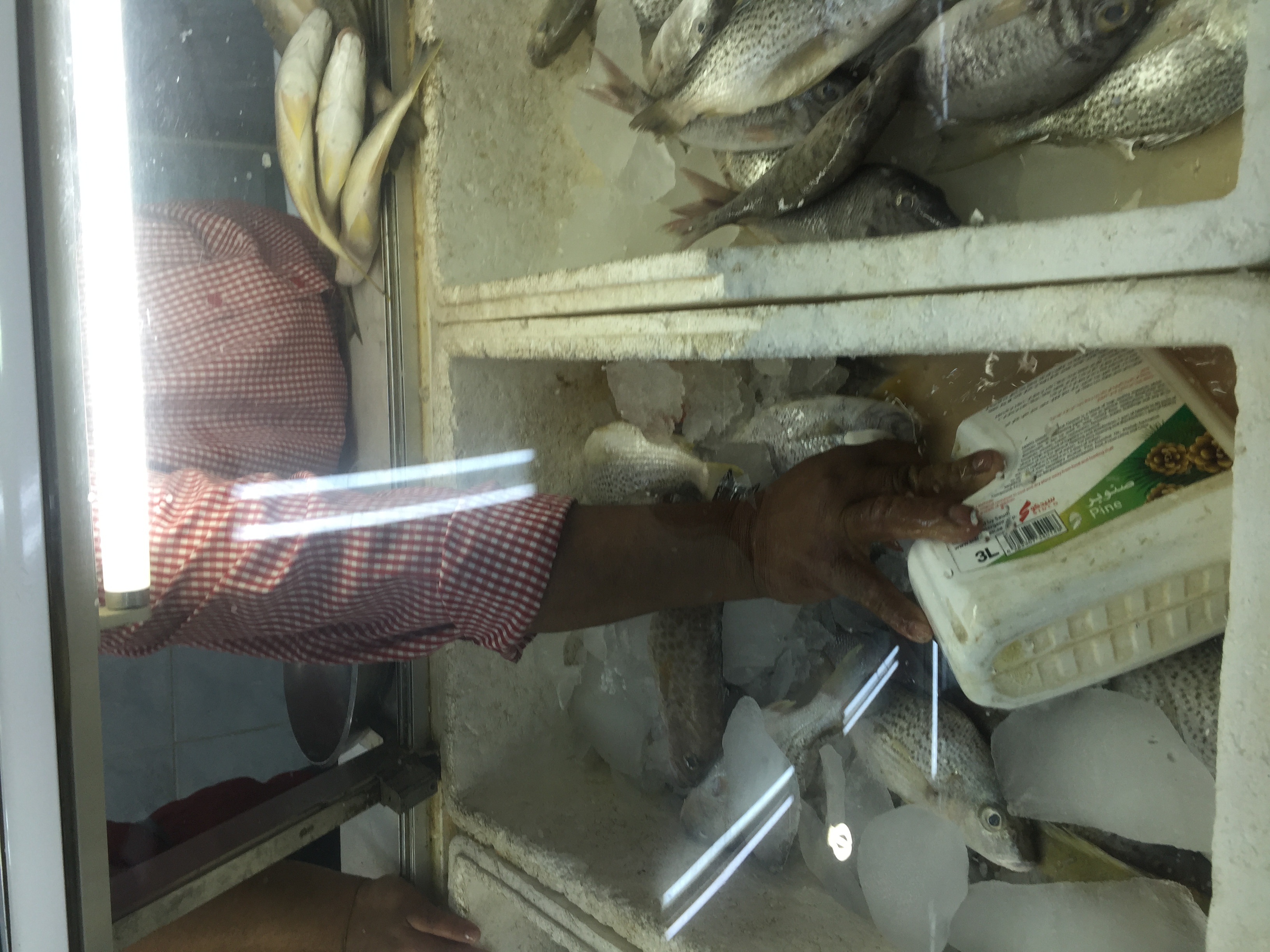 بالصور.. عمالة مخالفة تقدم وجبات أسماك مجهولة وملوثة في الخميس