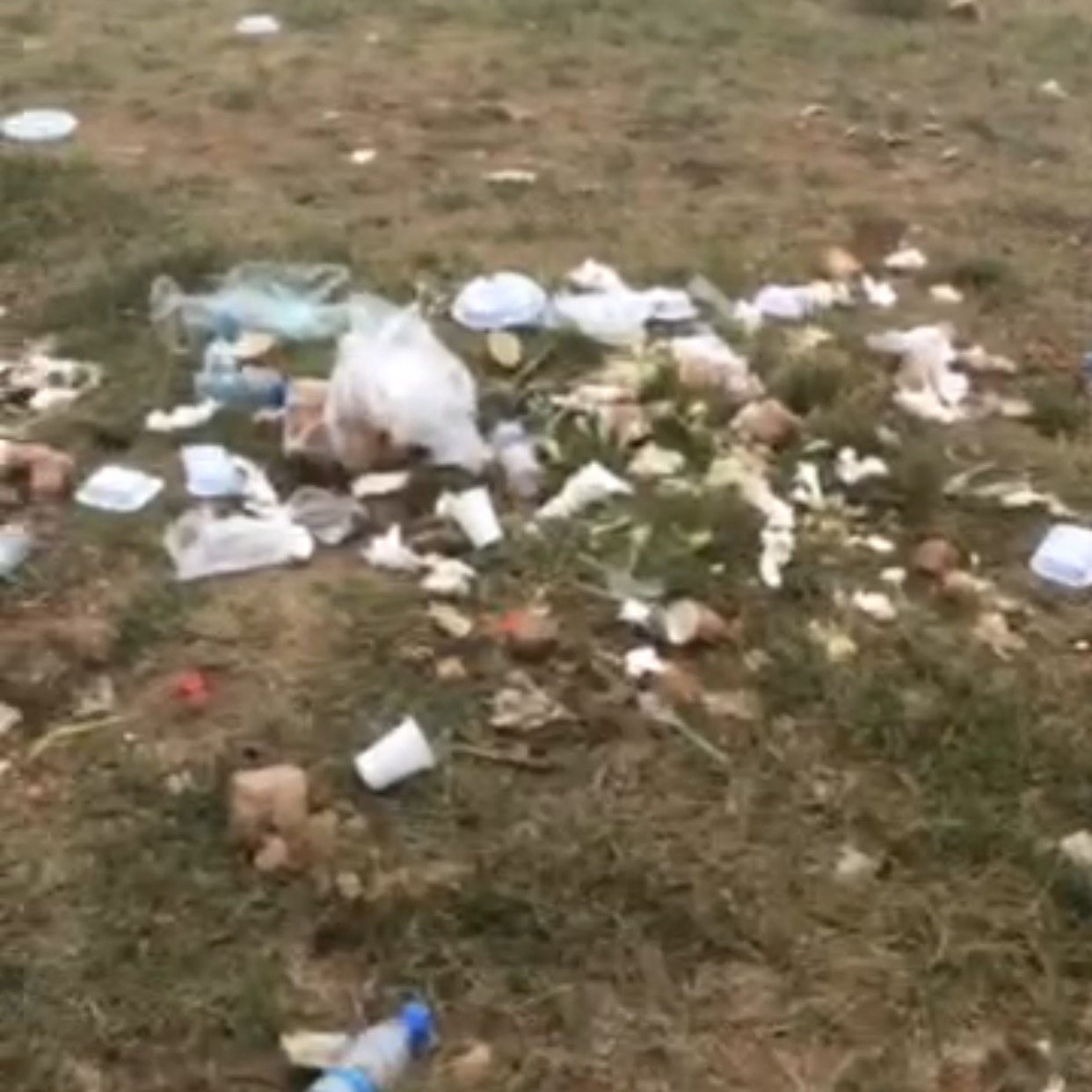 مطل منتزة المسقي