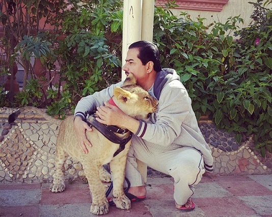 “العنزي” يكشف لـ”المواطن” أسرار عائلته مع الحيوانات المفترسة