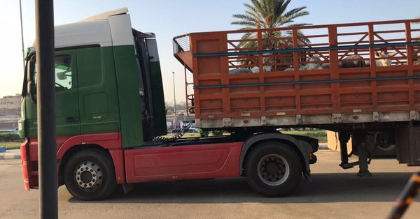 ضبط شاحنة حمير في جدة والتحفظ على قائدها