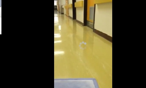 #تيوب_المواطن :فيديو فأر يتجول في مستشفى تثليث