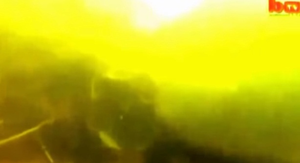 #تيوب_المواطن :تمساح يسرق كاميرا من مصور تحت الماء
