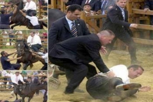 بالفيديو .. حصان عربي يركل أردوغان ويسقطه أرضاً