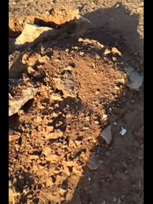 بالفيديو..مواطن يعثر على قبر منبوش “جنوب رفحاء”