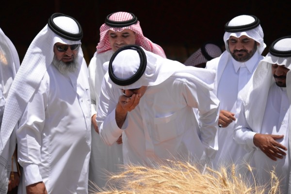 مهرجان البر يسوق منتجات 6 آلاف مزرعة في بللسمر