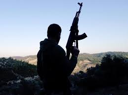 الجيش السوري الحر يطالب بالتفتيش عن الكيماوى في لبنان
