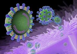 الصحة تعلن تسجيل 4 حالات جديدة بفيروس “كورونا” بالشرقية