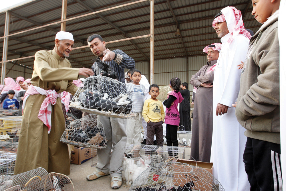 رصد 29 مخالفة في جولة تفتيشية على أسواق الطيور بـ #الرياض