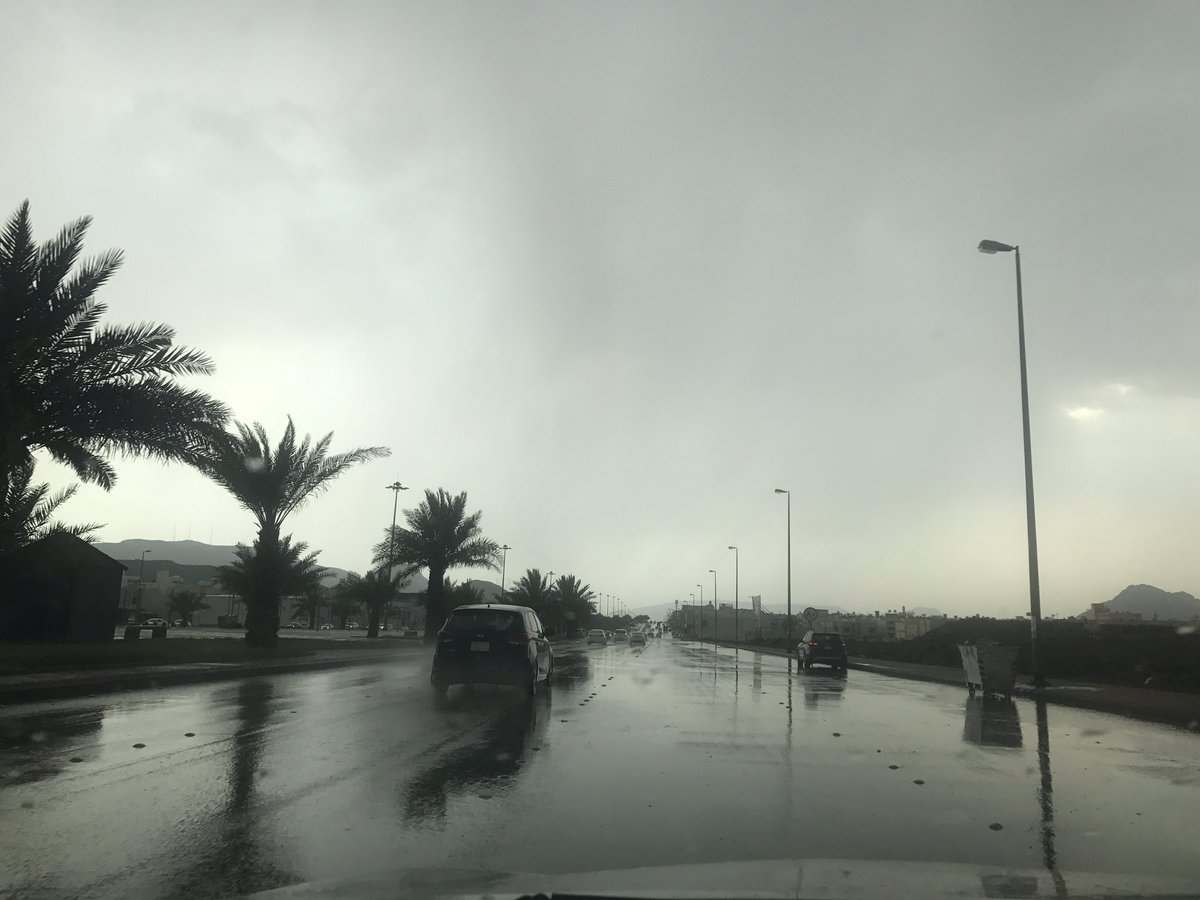 تحذير من طقس المدينة المنورة: رياح وغبار مع أمطار غزيرة 