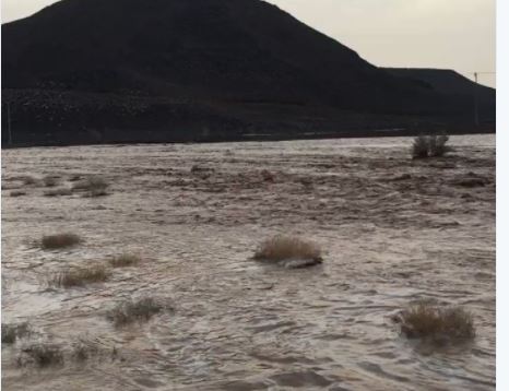 بالفيديو.. أمطار تبوك تسيل الأودية والشعاب