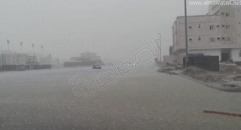 بالفيديو.. أمطار شبه متوسطة على الأجزاء الشمالية من #جدة