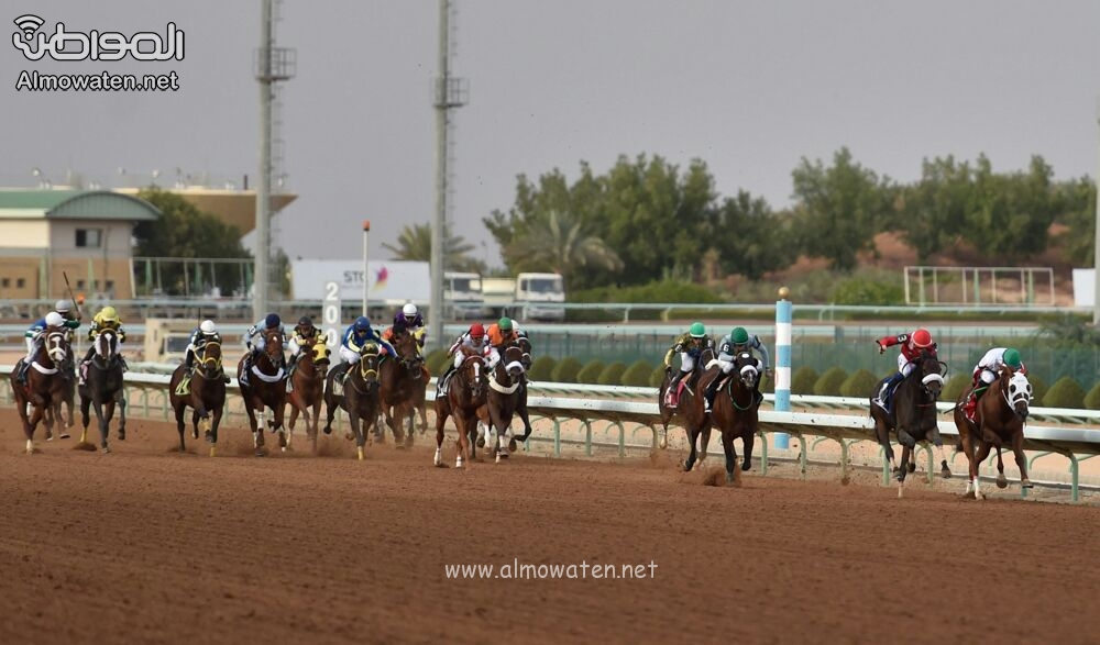 نادي سباقات الخيل يقيم الحفل السادس لجائزة سباقات الخيل التقديرية