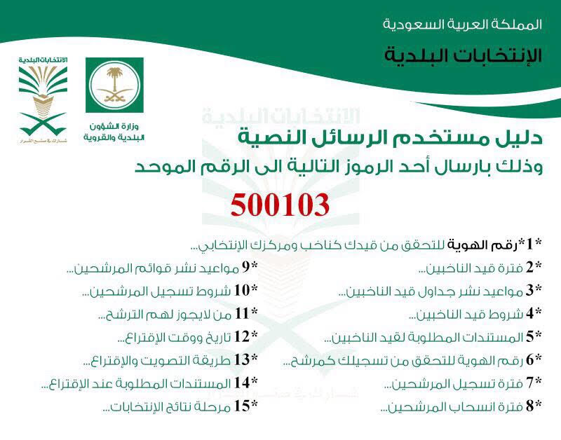 كيف تعرف بياناتك الانتخابية برسالة نصية؟