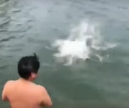 فيديو صادم .. أب يرمي طفله في بحيرة ليعلمه السباحة