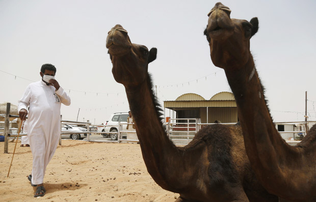 هنا مواعيد الفعاليات والأنشطة في مهرجان الملك عبدالعزيز للإبل