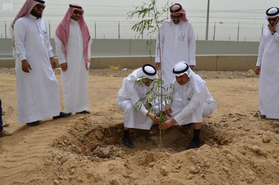 اتفاقية لتشجير وتنمية الغطاء النباتي في المدينة المنورة