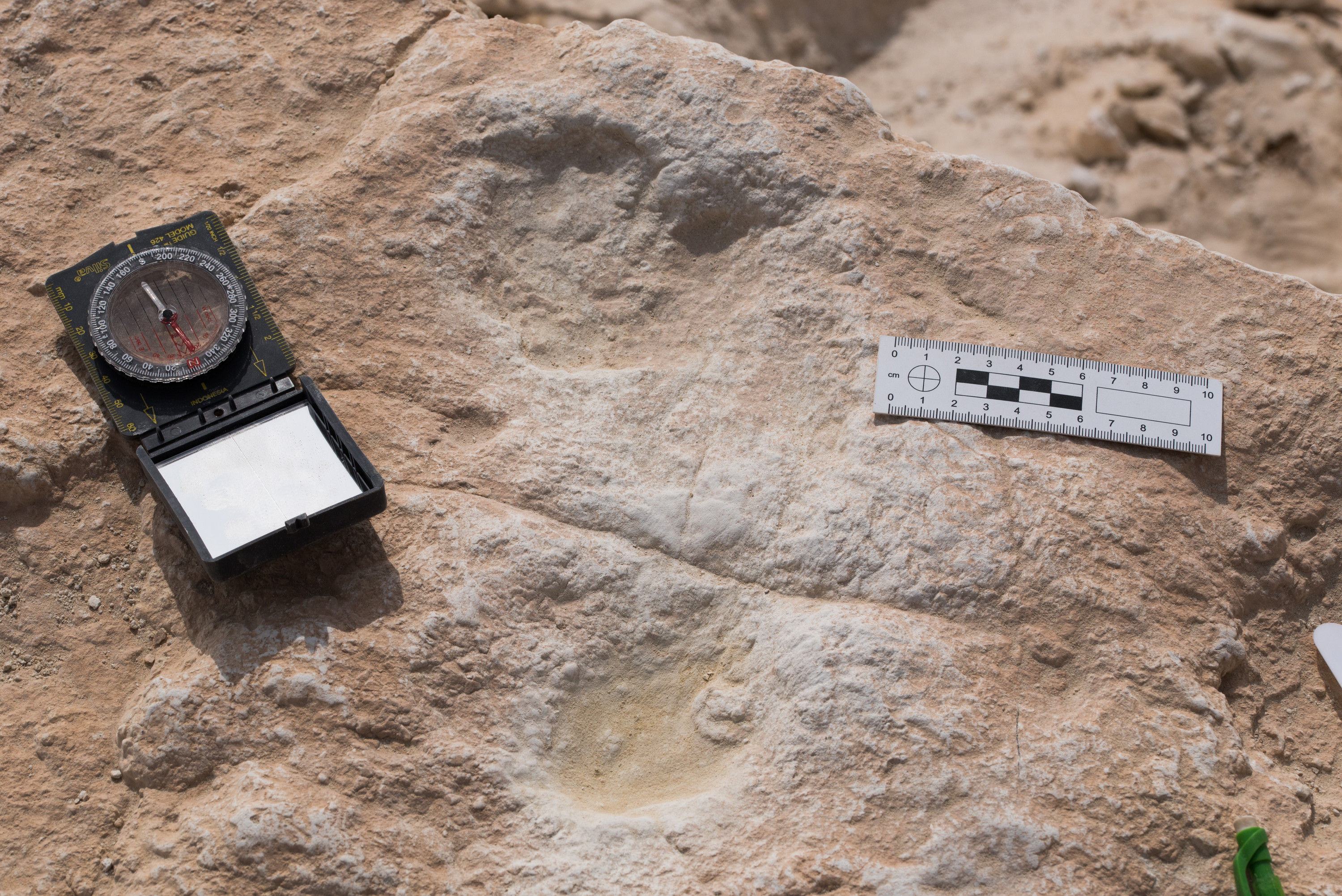 اكتشاف آثار أقدام إنسان عمرها 85 ألف عام في تبوك