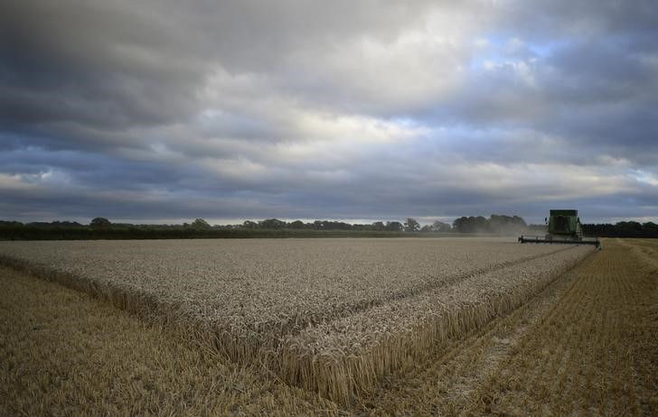 الطلب على الأرض الزراعية في بريطانيا يهبط بشدة في النصف الأول من 2016