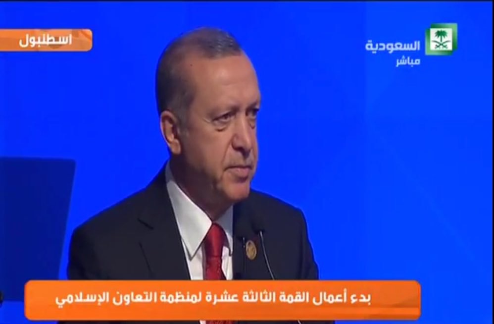 أردوغان: الخلافات المذهبية آفة تهدد الدول الإسلامية