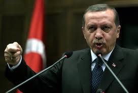 أردوغان: نرفض أي تحقيق مشترك مع النظام السوري غير الشرعي