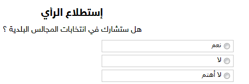 صوّت هنا.. هل ستشارك في الانتخابات البلدية؟