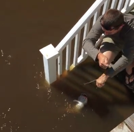 شاهد.. عائلة تصطاد السمك من شرفة منزلها بعد إعصار ماثيو