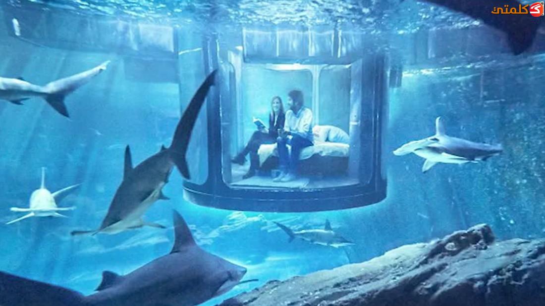 عرض سخي.. هل تفضل قضاء ليلة تحت الماء وسط أسماك القرش!