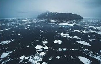 العثور على أصغر “كائن بحري” في القطب الجنوبي