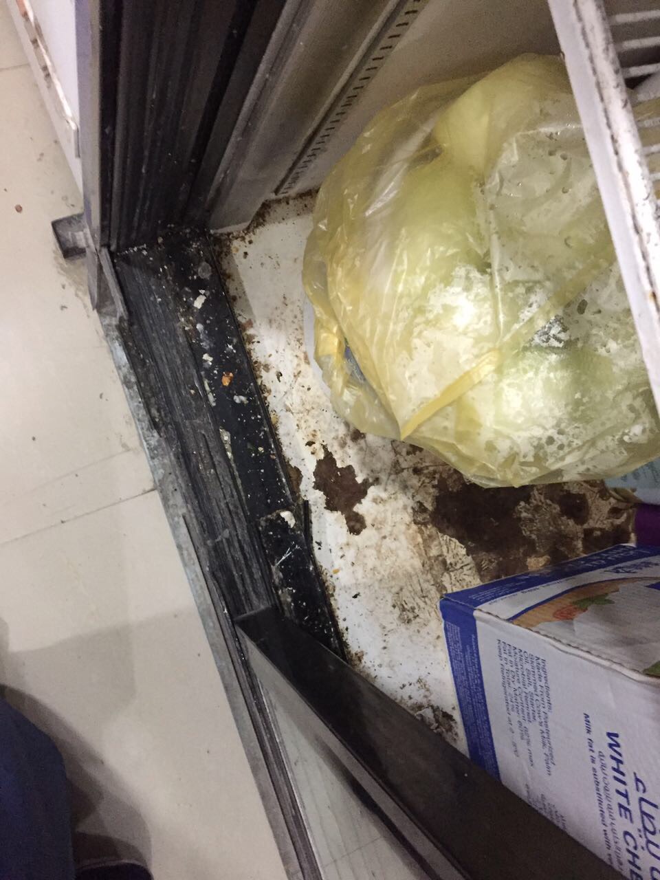 بالصور..الصراصير وراء إغلاق مطعم ومخبز في بقيق