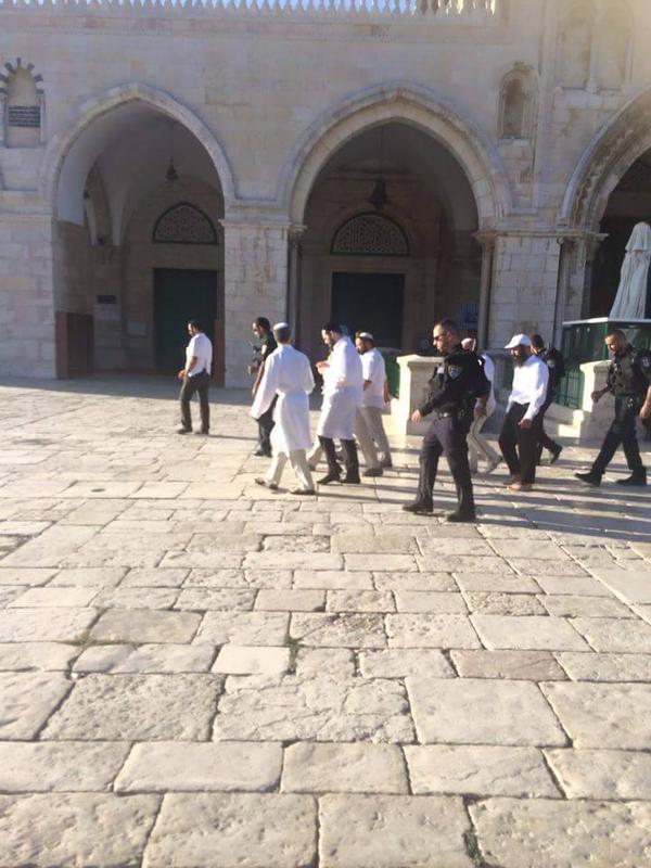 في #يوم_عرفة.. مستوطنون يهود يقتحمون #المسجد_الأقصى