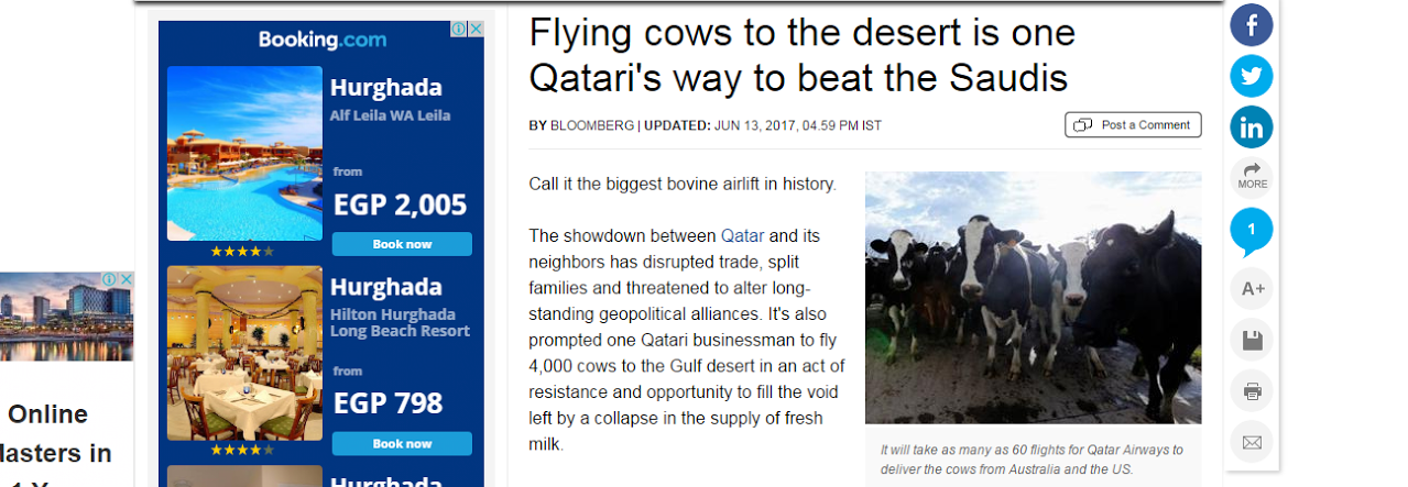 قطر تواجه المقاطعة السعودية والخليجية بـ”الأبقار الطائرة”