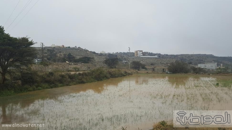 الامطار الغزيرة التي شهدتها قرى شمال عسير11
