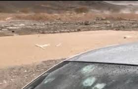 بالفيديو.. البَرَد يهشم زجاج السيارات في المدينة المنورة