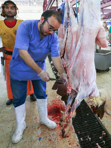 5 ورش لرفع مستوى أداء الأطباء البيطريين في فحص اللحوم