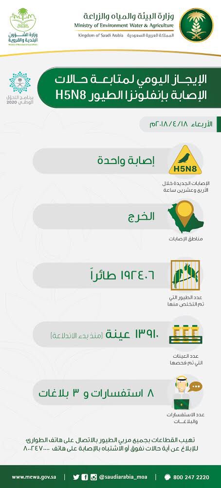 إصابة واحدة بإنفلونزا الطيور في الخرج خلال 24 ساعة