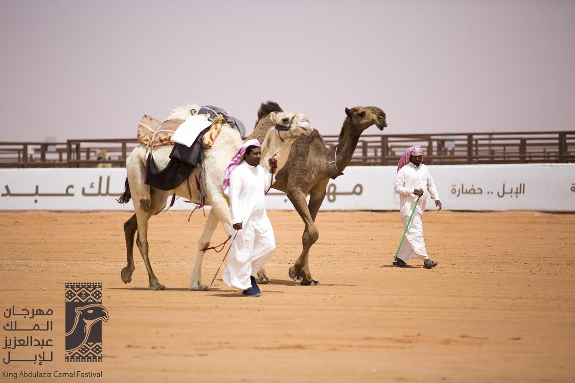 يوم الجمعة للعوائل.. و79% من ملاك “الشعل” راضون