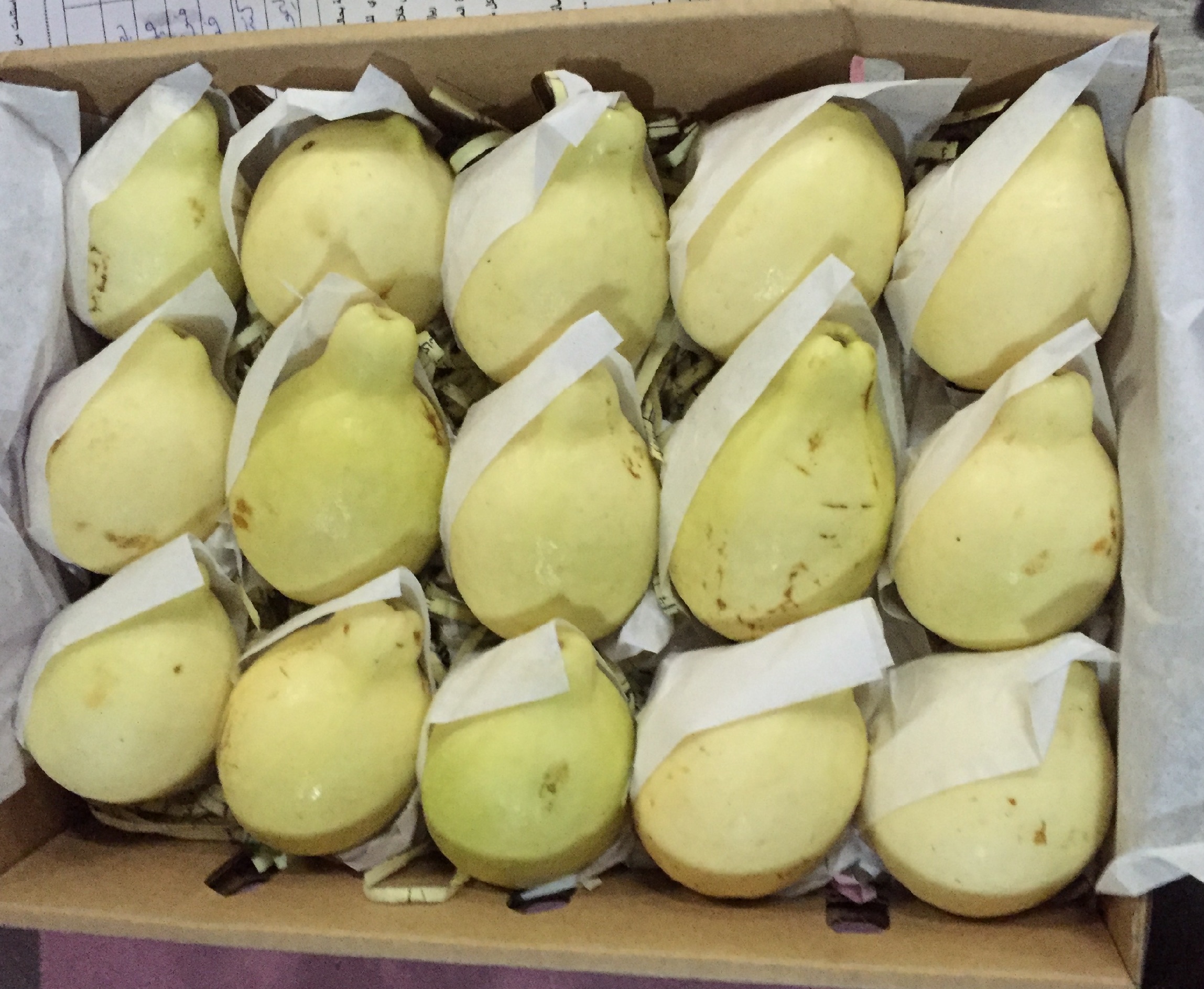 حظر استيراد الجوافة المصرية مؤقتًا