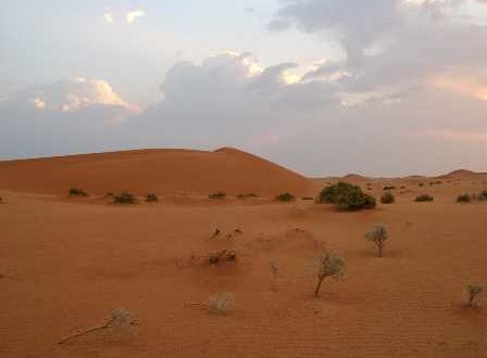 العثور على العامل السوداني المَفْقُود بصحراء الجوف