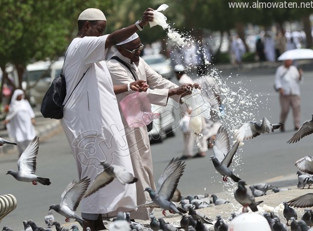 بالصور.. تسوق واستجمام وإطعام “الحمام”.. هكذا يقضي الحجاج وقتهم قبل المناسك