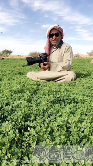 الحدقة8