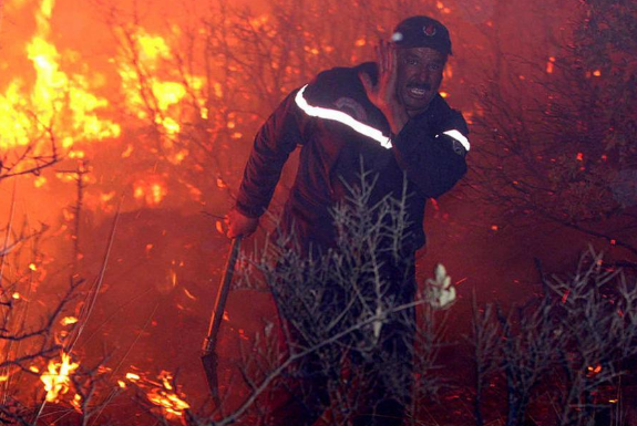 حرائق الغابات في الجزائر تطال 20 ولاية