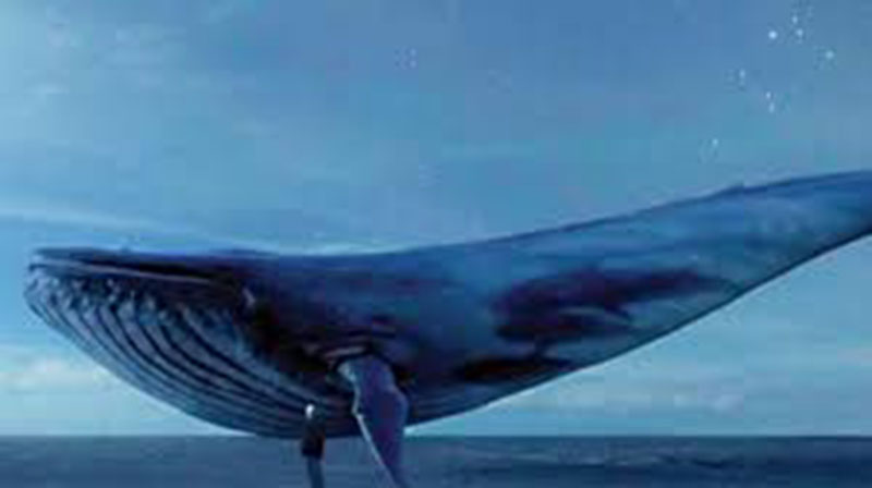 لعبة الانتحار الحوت الأزرق تدخل النطاق الأحمر
