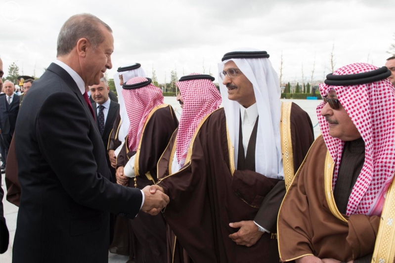 الرئيس التركي يستقبل الملك 12
