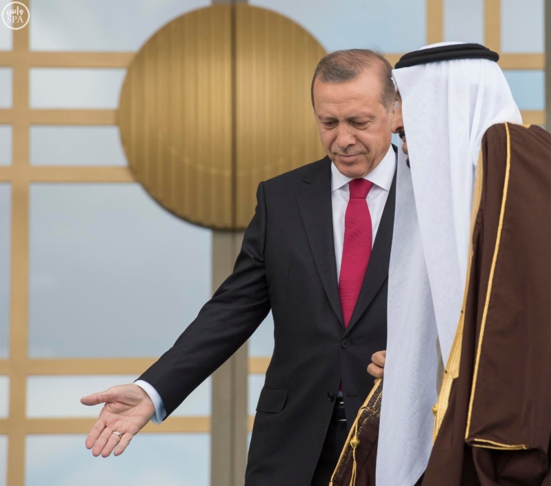 الرئيس التركي يستقبل الملك 14