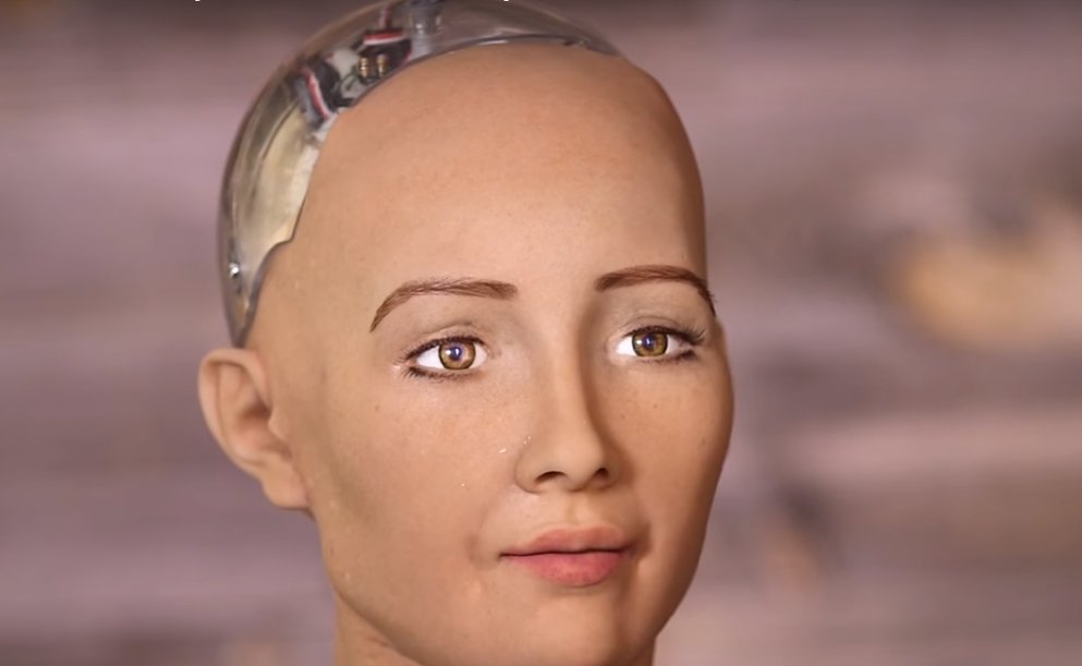 الروبوت صوفيا الأشهر عالميًّا تحصل على الجنسية السعودية