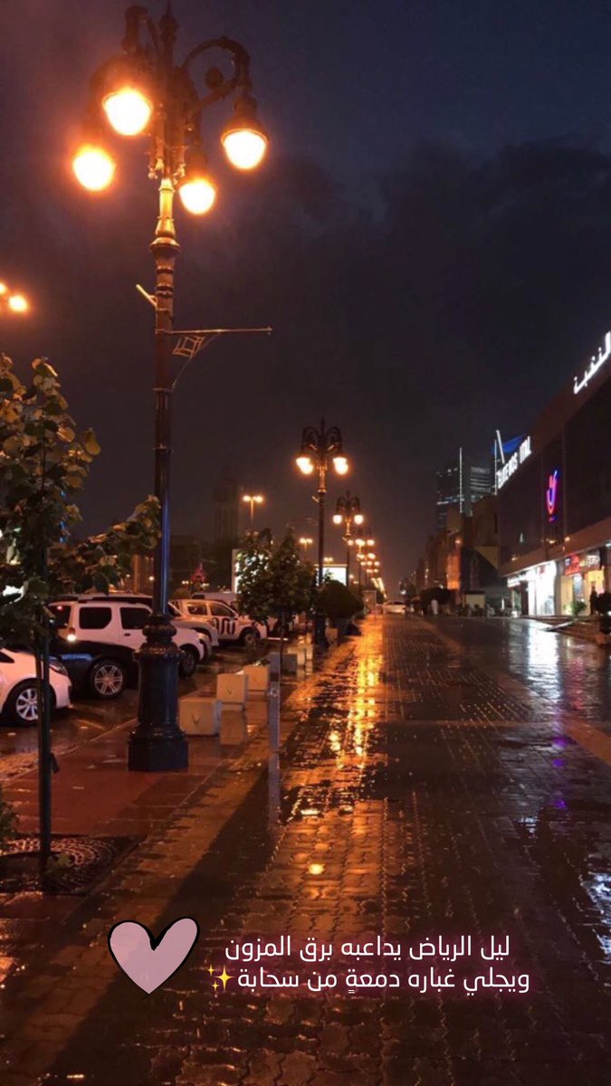 بالفيديو والصور.. هل يُلام المرء في حب الرياض؟ - المواطن