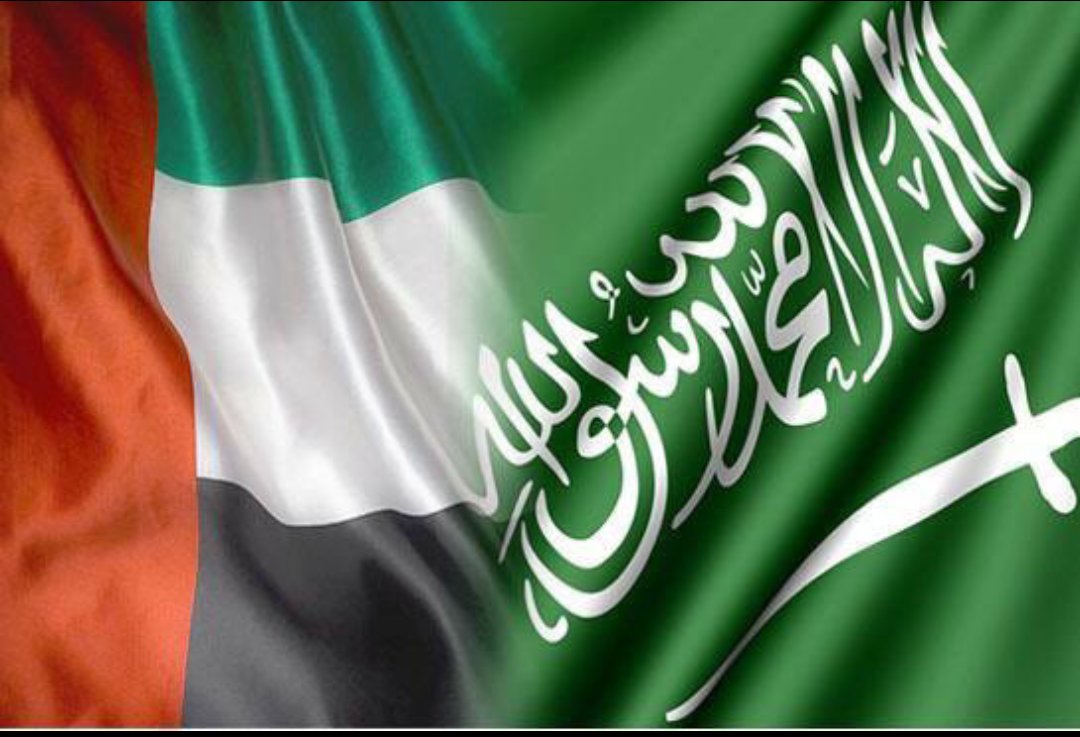 الإمارات ترحب بدعوة الملك سلمان لعقد قمتين خليجية وعربية طارئتين
