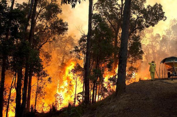 سفارة المملكة في أستراليا للمواطنين: تجنبوا المناطق الجنوبية بسبب حرائق الغابات