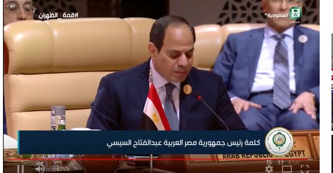 السيسي: الإرهاب أسوأ أزمة يواجهها العالم العربي منذ حقبة الاستقلال