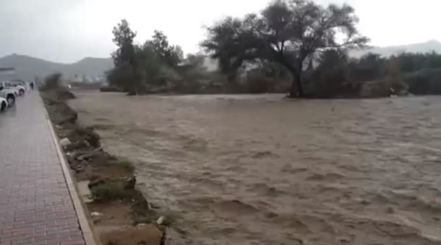فيديو أمطار الطائف